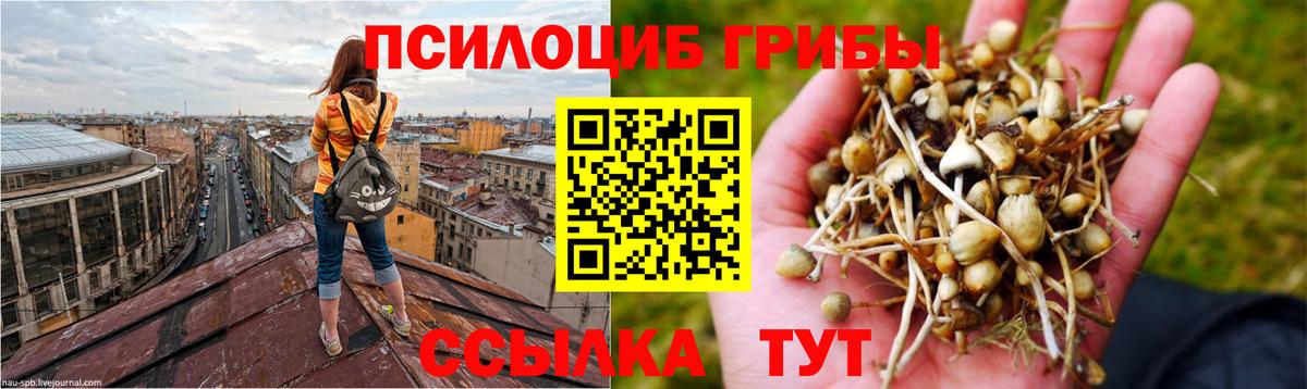 Галлюциногенные грибы GOLDEN TEACHER Братск