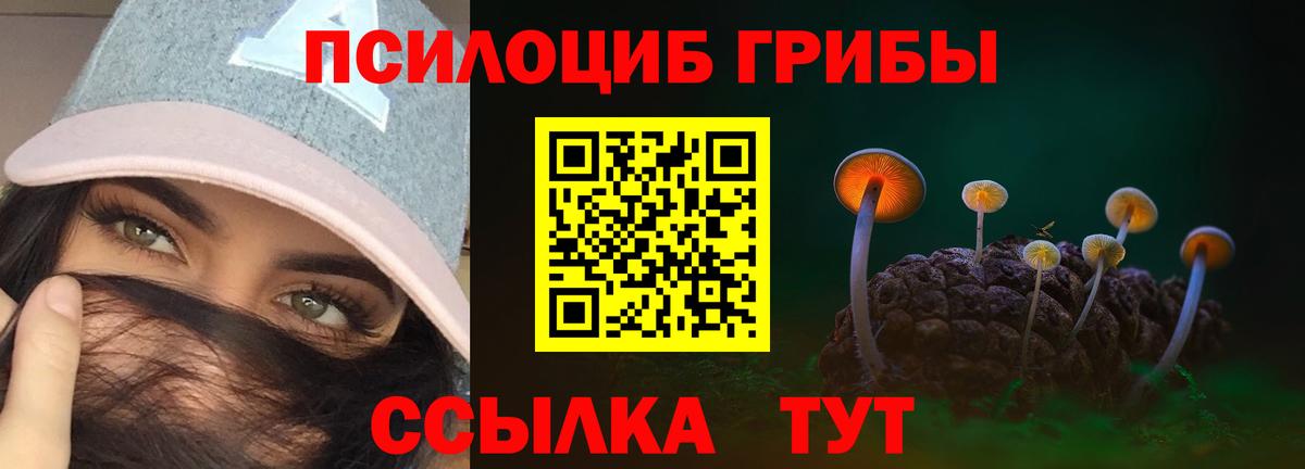 Братск  Псилоцибиновые грибы прущие грибы  Вход с VPN  Галлюциногенные грибы ЛСД 